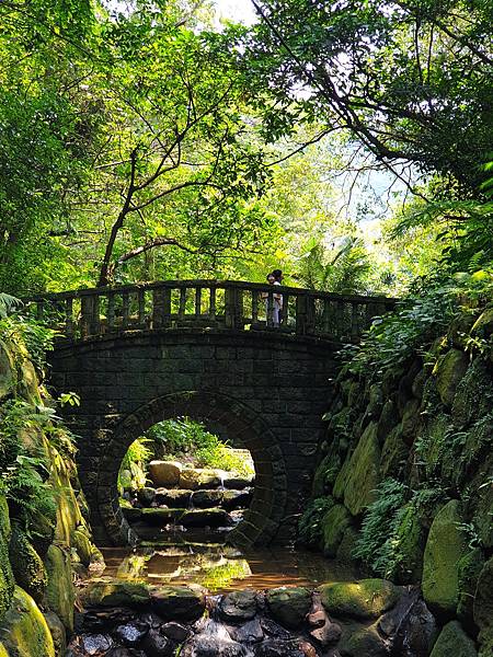 亞亞的登山紀行《虎山自然步道》 (42).jpg