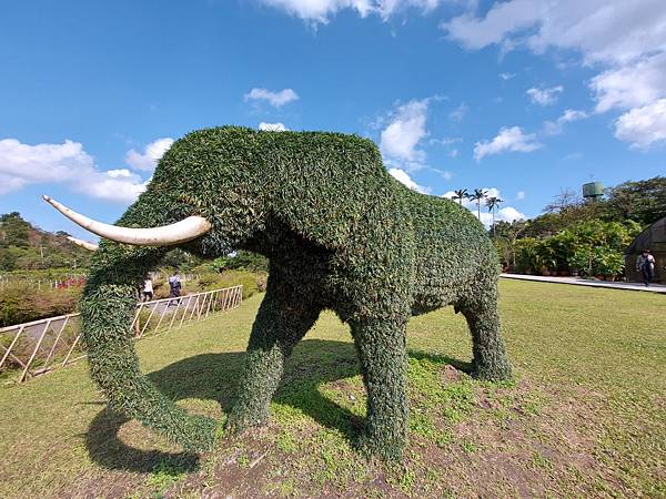 亞亞的仁山植物園 (15).jpg