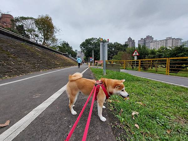 マル的跟狗一樣累 (5).jpg