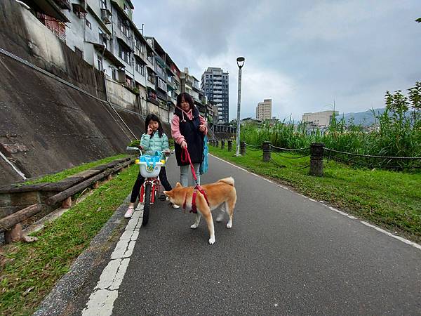 マル的跟狗一樣累 (12).jpg