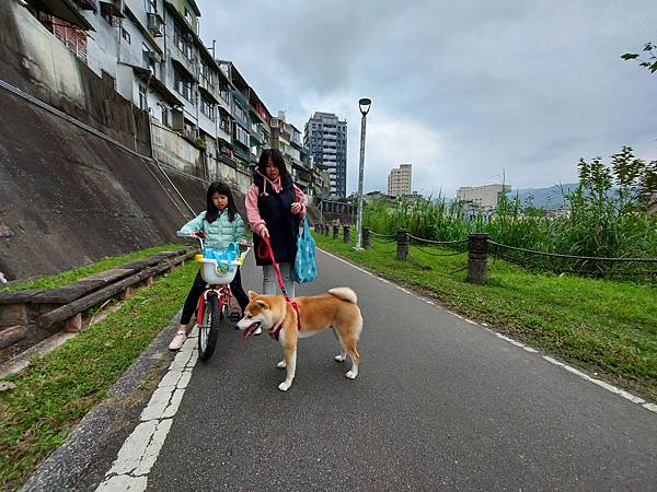 マル的跟狗一樣累 (13).jpg