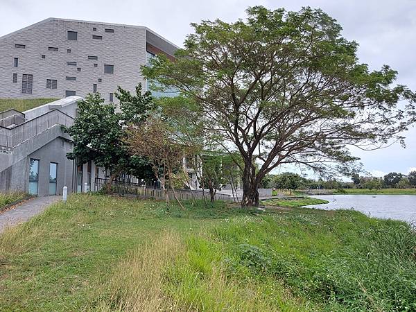 台東縣台東市國立臺東大學圖書資訊館 (4).jpg