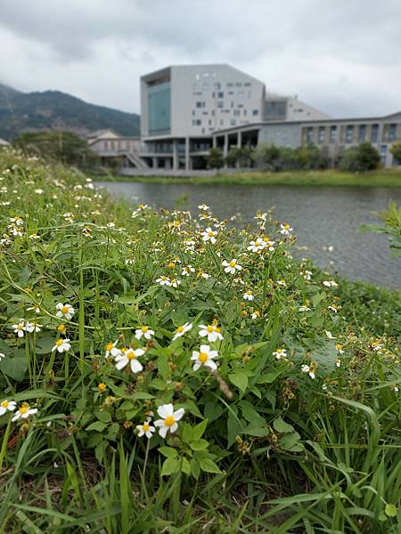 台東縣台東市國立臺東大學圖書資訊館 (26).jpg