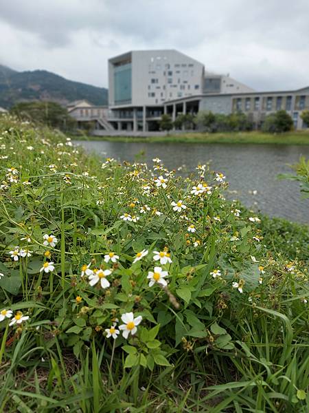 台東縣台東市國立臺東大學圖書資訊館 (26).jpg