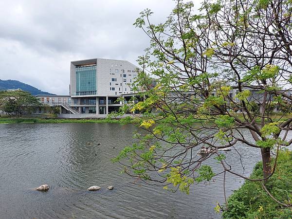 台東縣台東市國立臺東大學圖書資訊館 (25).jpg