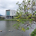 台東縣台東市國立臺東大學圖書資訊館 (25).jpg