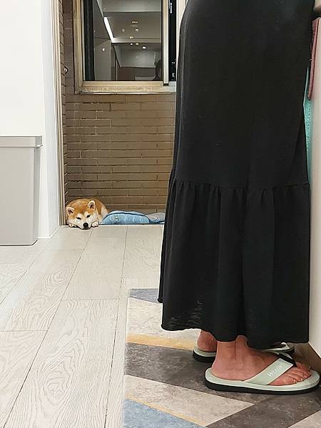 マル的奇特生物展 (4).jpg