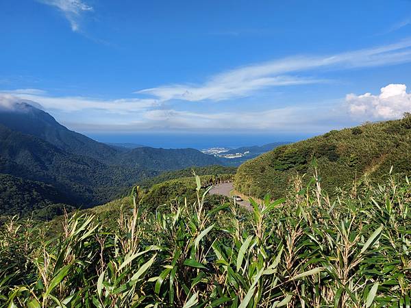 亞亞的陽明山微解封 (4).jpg