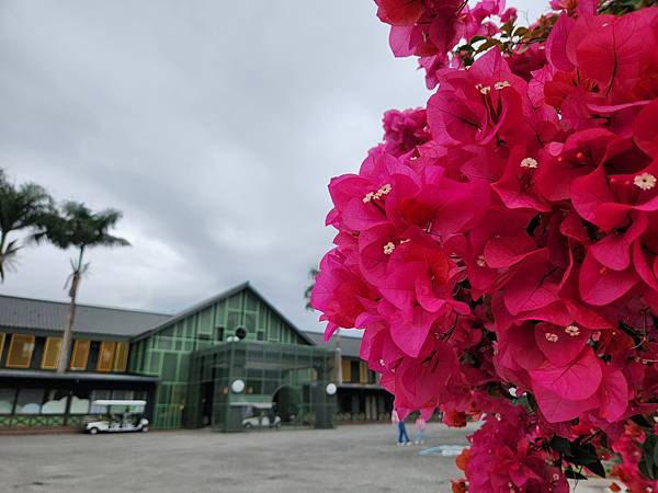 花蓮縣鳳林鎮丘丘．森旅：入住櫃台 (3).jpg