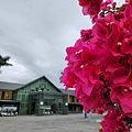 花蓮縣鳳林鎮丘丘．森旅：入住櫃台 (3).jpg