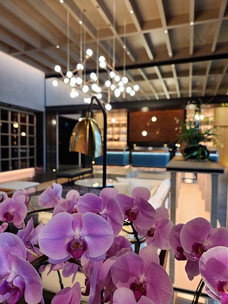 台北縣八里鄉台北八里福朋喜来登酒店:接待大廳+The Mesh Bar (19).jpg 台北縣八里鄉台北八里福朋喜来登酒店:接待大廳+The Mesh Bar (19).jpg