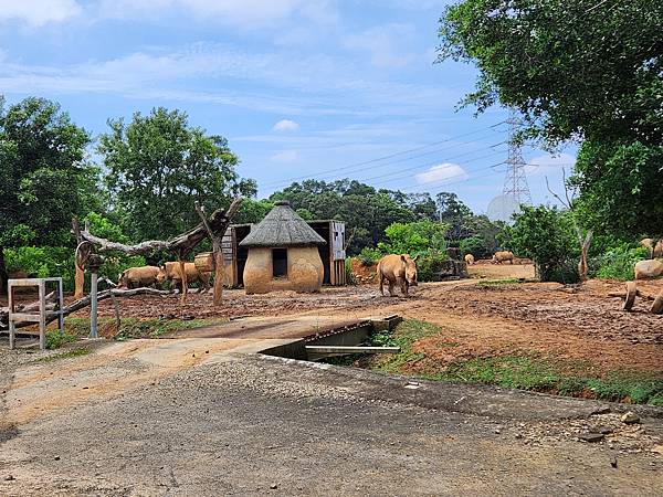 新竹縣關西鎮六福村主題遊樂園：蒸氣火車 (18).jpg