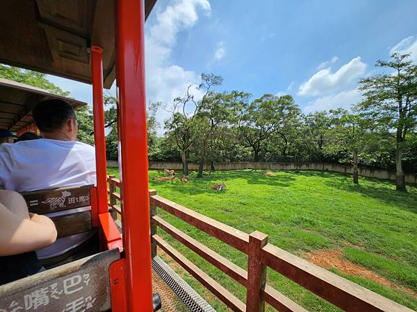 新竹縣關西鎮六福村主題遊樂園：蒸氣火車 (27).jpg