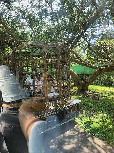 新竹縣關西鎮六福村主題遊樂園：猛獸區巴士 (13).jpg