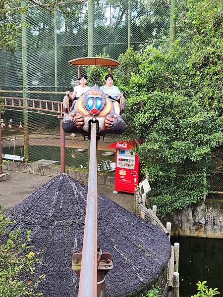 新竹縣關西鎮六福村主題遊樂園：猴子行大運 (8).jpg