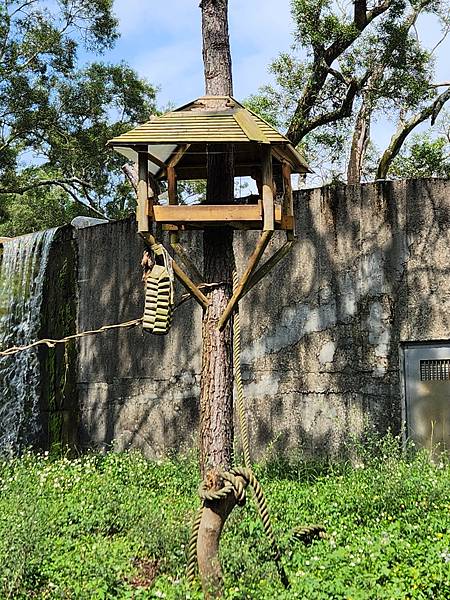 新竹縣關西鎮六福村主題遊樂園：非洲部落 (8).jpg