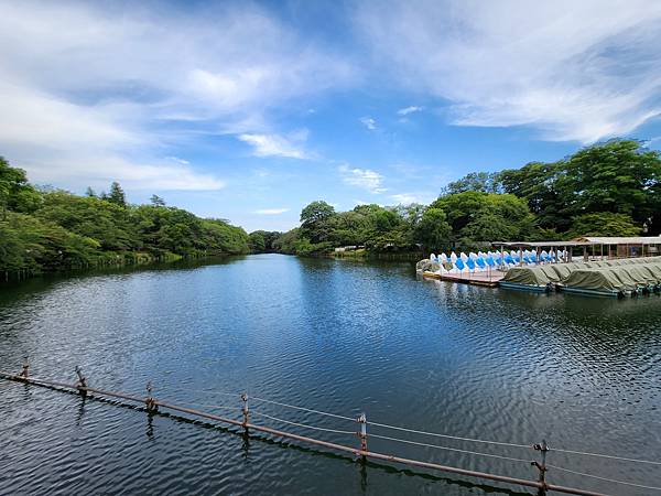 日本東京都井の頭自然文化園 (6).jpg