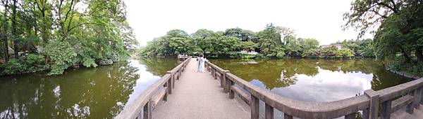 日本東京都井の頭自然文化園 (2).jpg