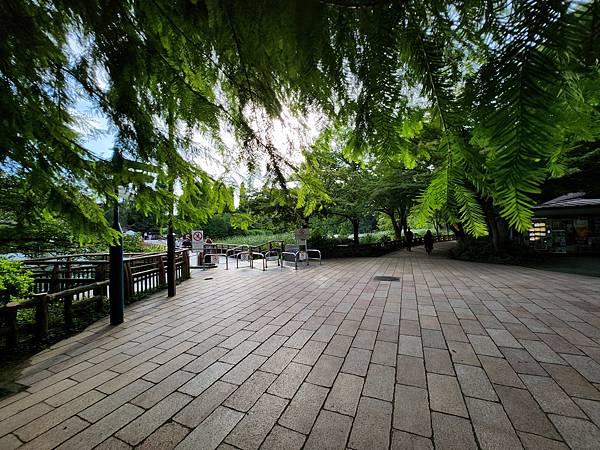 日本東京都井の頭自然文化園 (9).jpg