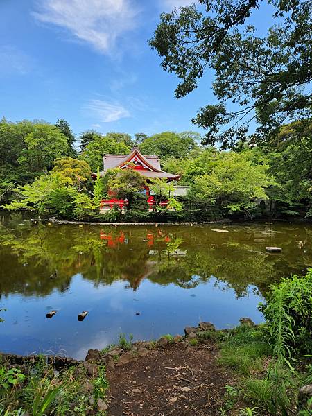 日本東京都井の頭自然文化園 (14).jpg