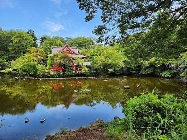 日本東京都井の頭自然文化園 (13).jpg