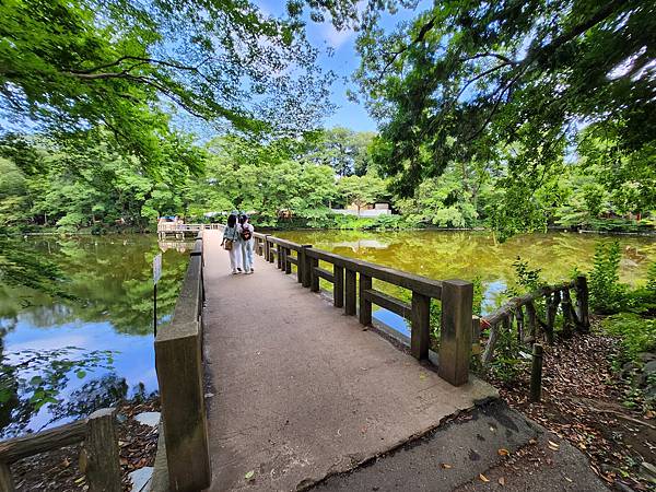 日本東京都井の頭自然文化園 (16).jpg
