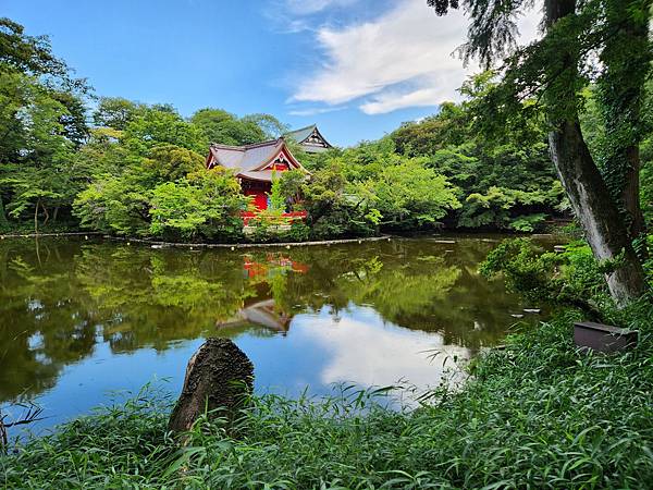 日本東京都井の頭自然文化園 (15).jpg