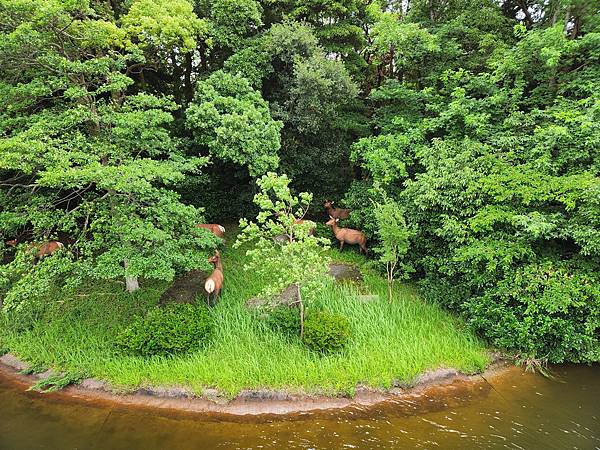 日本千葉県東京ディズニーランド：蒸気船マークトウェイン号 (6).jpg