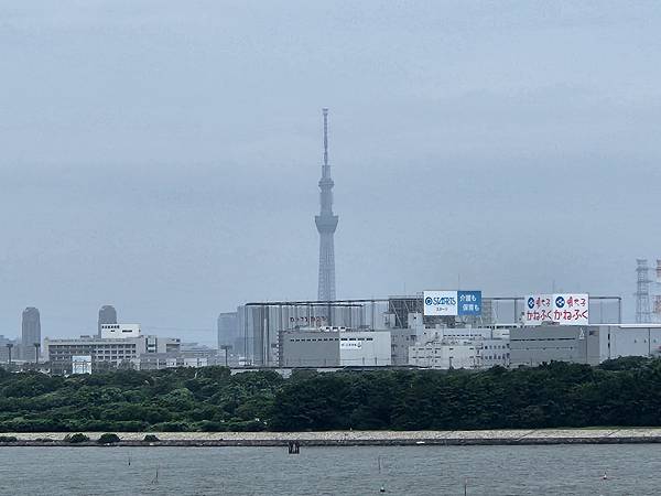 日本千葉県グランドニッコー東京ベイ 舞浜:ガーデンデラックスルーム (3).jpg