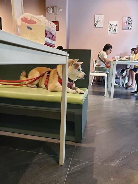 樂多廚房攝影記