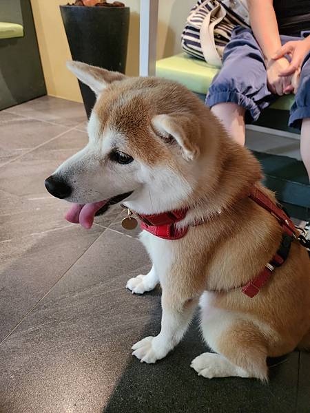 宜蘭縣員山鄉樂多廚房 (10).jpg