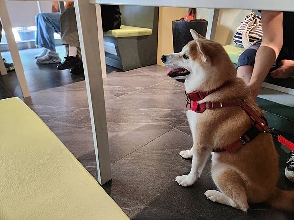 宜蘭縣員山鄉樂多廚房 (9).jpg