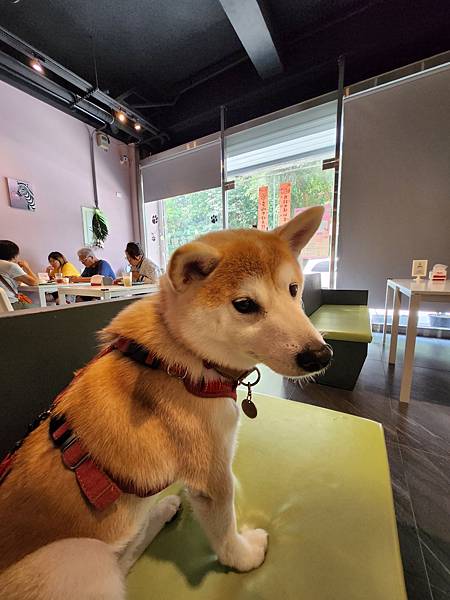 宜蘭縣員山鄉樂多廚房 (24).jpg