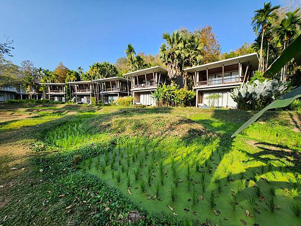 泰國清邁Veranda High Resort Chiang Mai (2).jpg