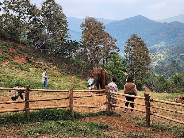 泰國清邁Elefin Farm %26; Cafe (49).jpg