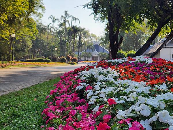 亞拔的慢跑:清邁 (9).jpg