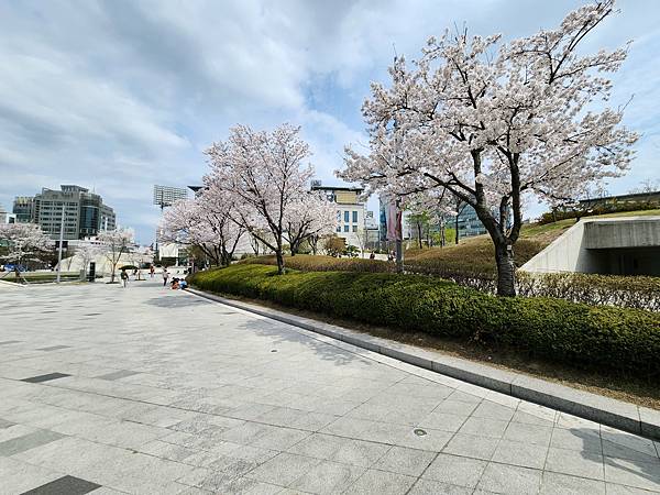 韓國首爾市東大門設計廣場 (22).jpg