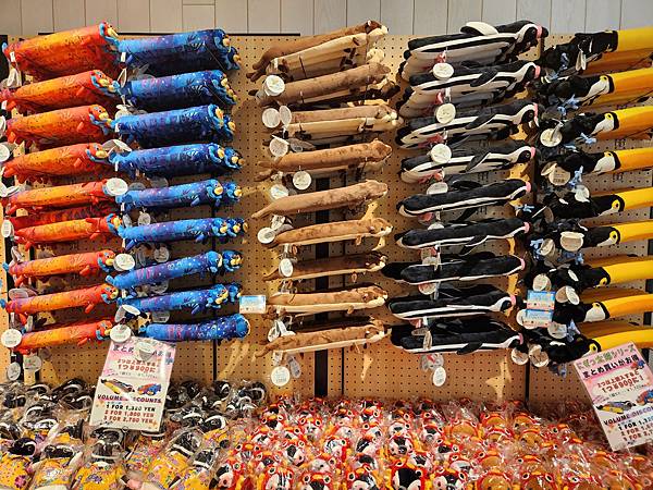 日本沖縄県iias沖縄豊崎:DMMかりゆし水族館 (41).jpg