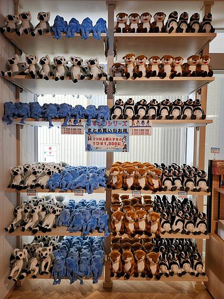 日本沖縄県iias沖縄豊崎:DMMかりゆし水族館 (42).jpg