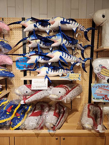 日本沖縄県iias沖縄豊崎:DMMかりゆし水族館 (44).jpg