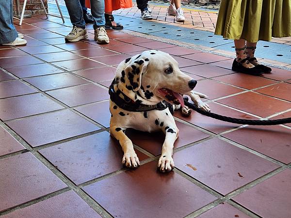 亞亞的大溪員工旅遊【捏陶篇】 (10).jpg