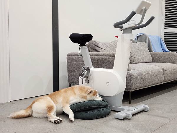 マル的這些日子 (2).jpg