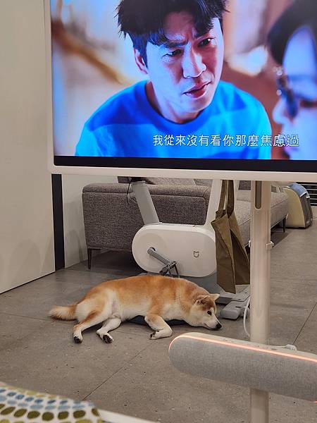 マル的這些日子 (7).jpg