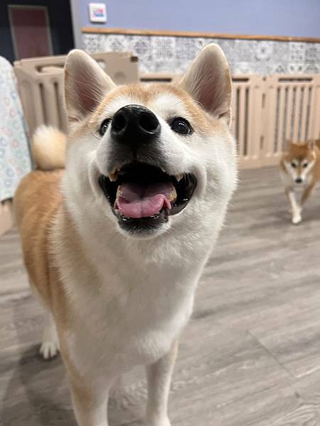 マル的這些日子 (11).jpg