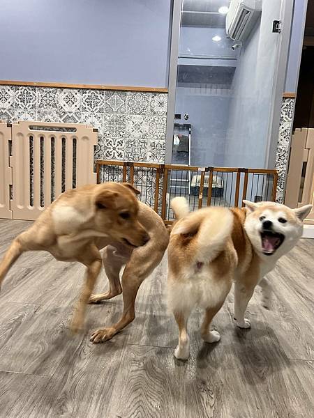 マル的這些日子 (13).jpg