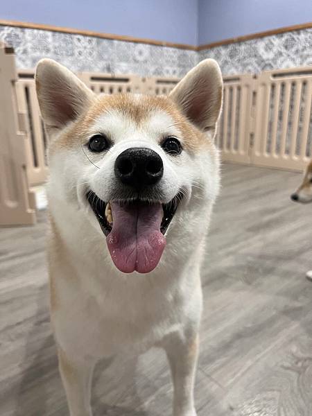 マル的這些日子 (14).jpg