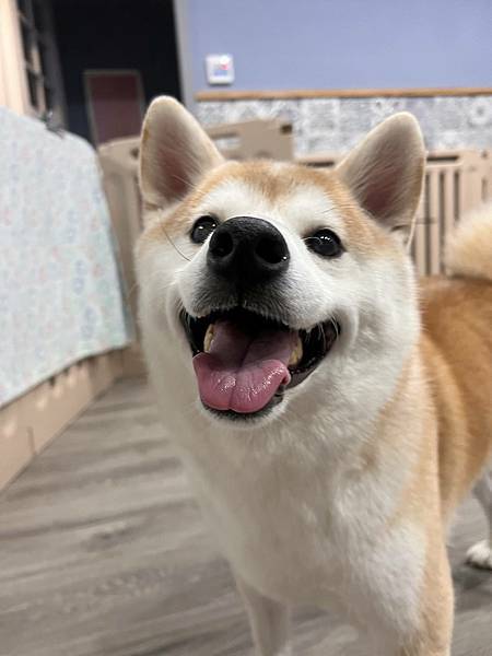 マル的這些日子 (12).jpg