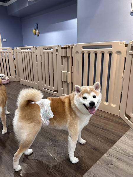 マル的這些日子 (16).jpg