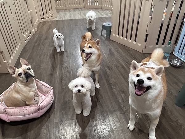 マル的這些日子 (17).jpg