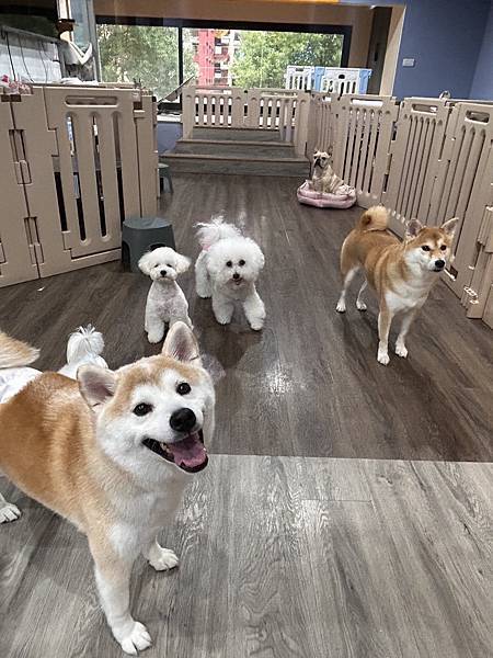 マル的這些日子 (21).jpg